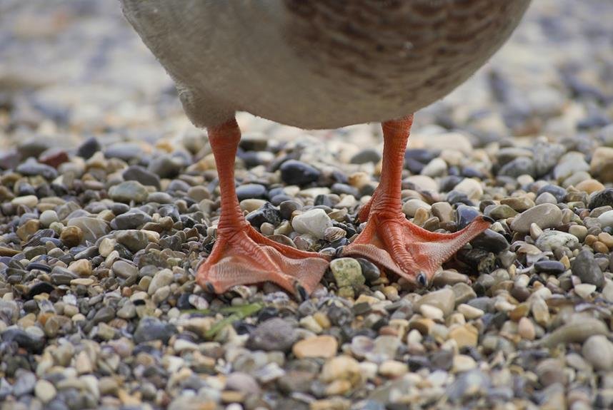 10 Best Duck Blinds for a Successful Hunting Season in 2024